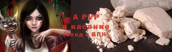 стафф Михайловск