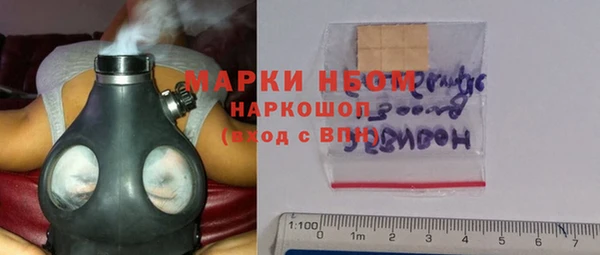 стафф Михайловск