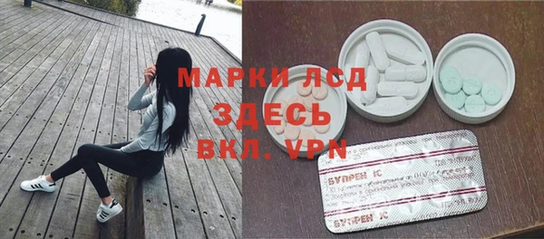 стафф Михайловск