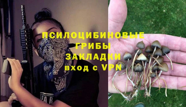 стафф Михайловск
