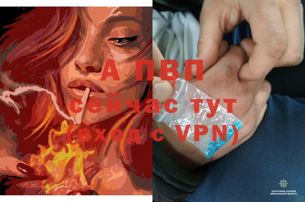 spice Михайлов