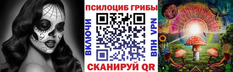Псилоцибиновые грибы Psilocybe  дарк нет клад  Североморск 